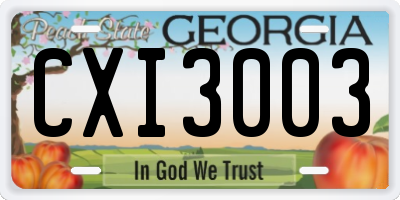 GA license plate CXI3003