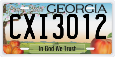 GA license plate CXI3012