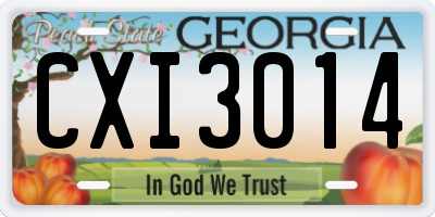 GA license plate CXI3014