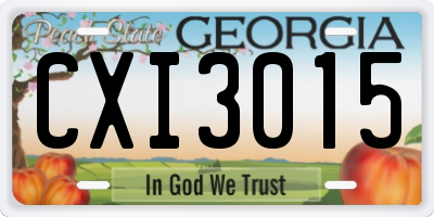 GA license plate CXI3015
