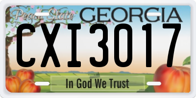 GA license plate CXI3017