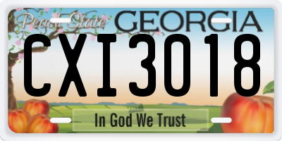 GA license plate CXI3018