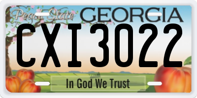 GA license plate CXI3022