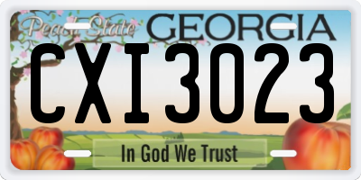 GA license plate CXI3023