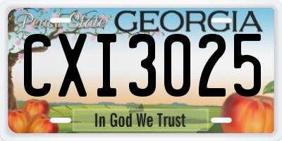 GA license plate CXI3025