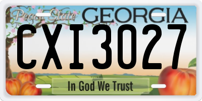 GA license plate CXI3027