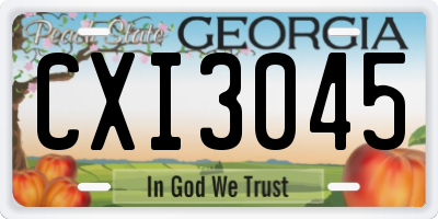 GA license plate CXI3045