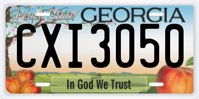GA license plate CXI3050