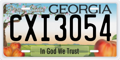 GA license plate CXI3054
