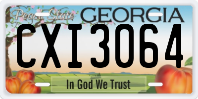 GA license plate CXI3064