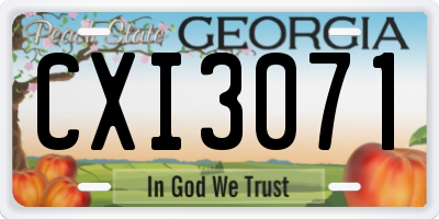 GA license plate CXI3071