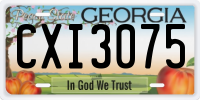 GA license plate CXI3075