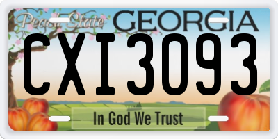 GA license plate CXI3093