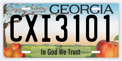 GA license plate CXI3101