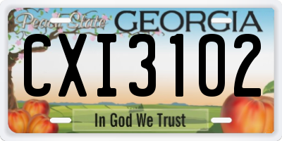 GA license plate CXI3102
