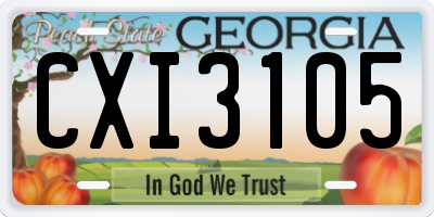 GA license plate CXI3105