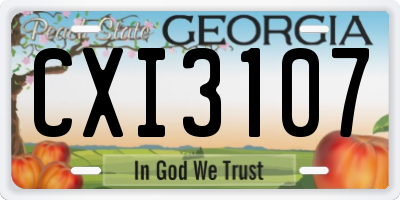 GA license plate CXI3107