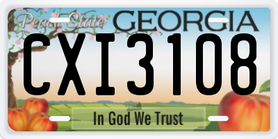 GA license plate CXI3108