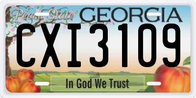 GA license plate CXI3109