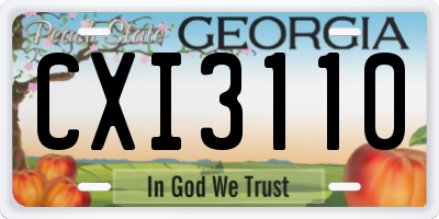 GA license plate CXI3110