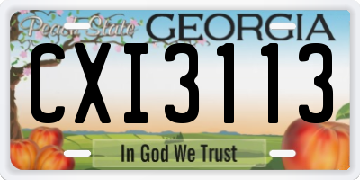 GA license plate CXI3113