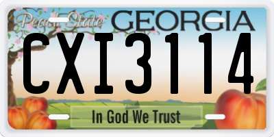 GA license plate CXI3114