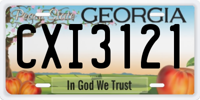 GA license plate CXI3121