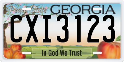 GA license plate CXI3123
