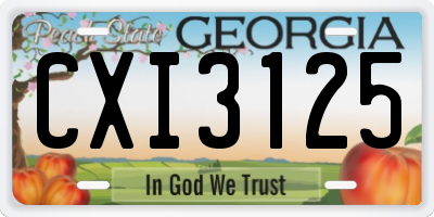 GA license plate CXI3125