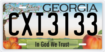 GA license plate CXI3133