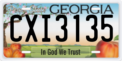 GA license plate CXI3135