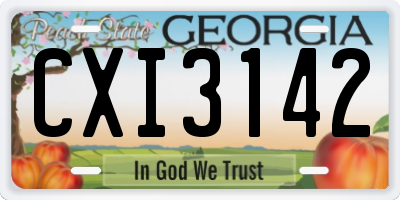 GA license plate CXI3142