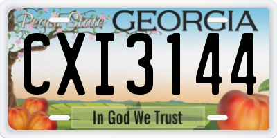 GA license plate CXI3144