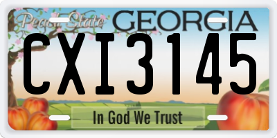 GA license plate CXI3145