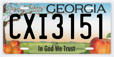 GA license plate CXI3151