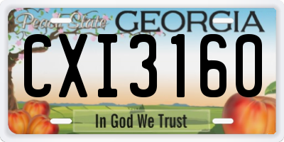 GA license plate CXI3160
