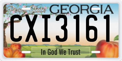 GA license plate CXI3161