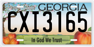 GA license plate CXI3165