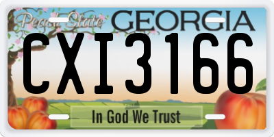 GA license plate CXI3166