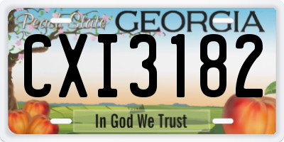 GA license plate CXI3182