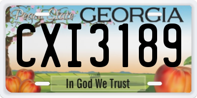 GA license plate CXI3189