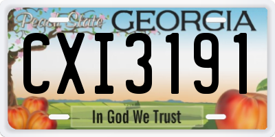 GA license plate CXI3191