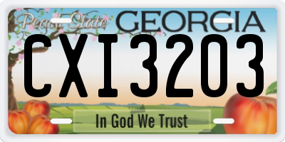 GA license plate CXI3203