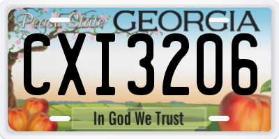 GA license plate CXI3206