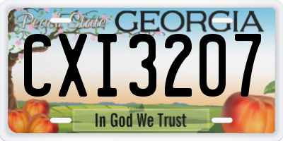 GA license plate CXI3207