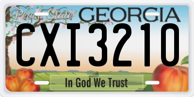 GA license plate CXI3210