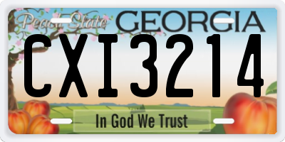GA license plate CXI3214