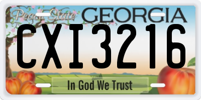 GA license plate CXI3216