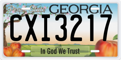 GA license plate CXI3217