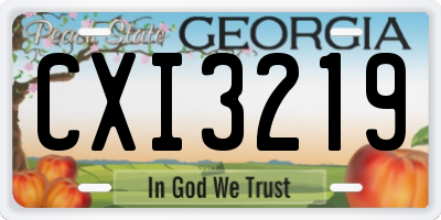 GA license plate CXI3219
